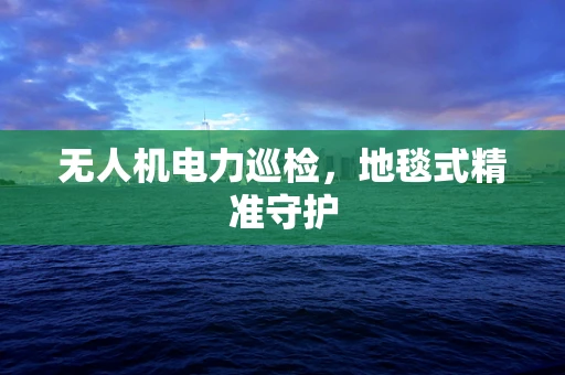 无人机电力巡检，地毯式精准守护