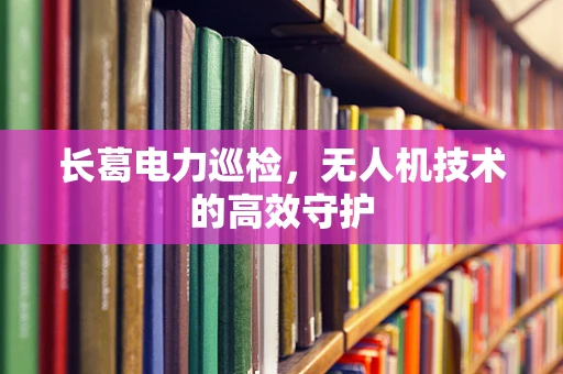 长葛电力巡检，无人机技术的高效守护