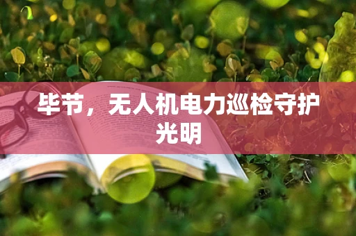 毕节，无人机电力巡检守护光明