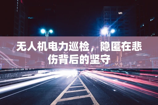 无人机电力巡检，隐匿在悲伤背后的坚守