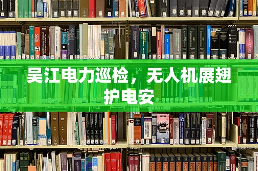 吴江电力巡检，无人机展翅护电安