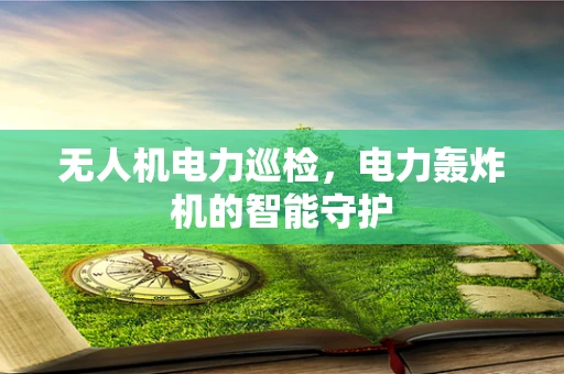 无人机电力巡检，电力轰炸机的智能守护