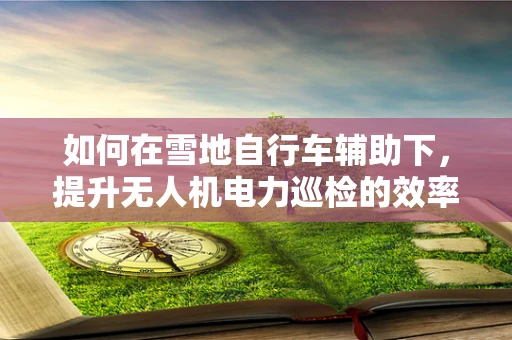 如何在雪地自行车辅助下，提升无人机电力巡检的效率与安全性？